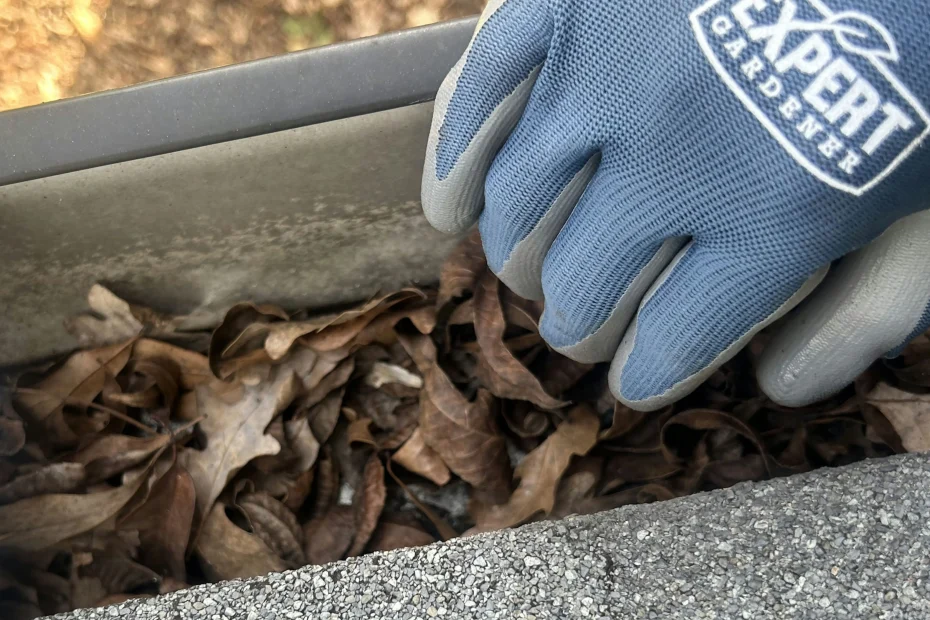 Gutter Cleaning Mount Pleasant