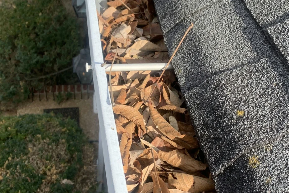 Gutter Cleaning Mount Pleasant