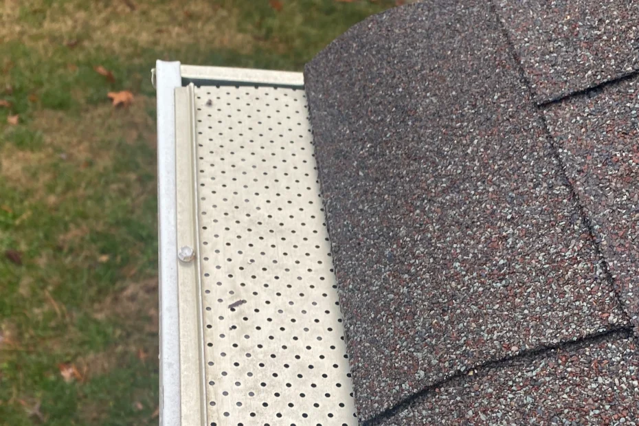 Gutter Cleaning Mount Pleasant