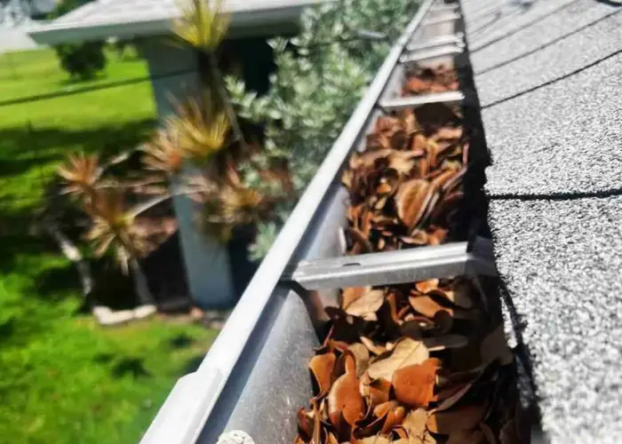 Gutter Cleaning Mount Pleasant home page